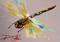 Art: Dragonfly by Artist Delilah Smith