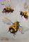 Art: Bees Knees No 4 by Artist Delilah Smith