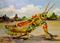 Art: Grasshopper by Artist Delilah Smith