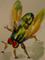Art: Fly Aceo-sold by Artist Delilah Smith