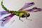 Art: Dragonfly No. 2 by Artist Delilah Smith