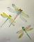 Art: Three Dragonflies by Artist Delilah Smith