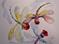 Art: Three Dragonflies by Artist Delilah Smith