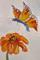 Art: Orange Flower and Butterfly by Artist Delilah Smith