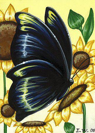 Art: Butterflies & Flowers #9 by Artist Elaina Wagner