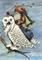 Art: SNOW OWL by Artist Susan Brack