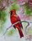 Art: CARDINAL 1814 by Artist Marcia Baldwin