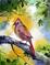 Art: FEMALE CARDINAL BIRD by Artist Marcia Baldwin