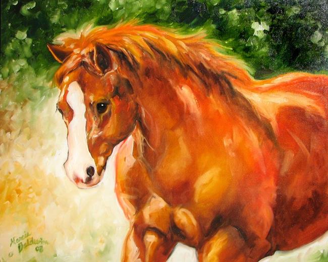 Art: SCAR ~ EQUINE PORTRAIT by Artist Marcia Baldwin