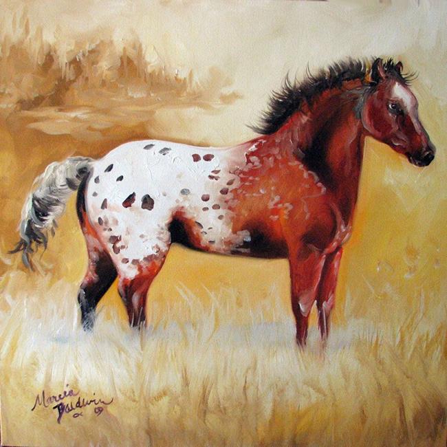 Appaloosa Sienna - By Marcia Baldwin From Commissioned Paintings