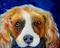 Art: CHARLIE SPANIEL POP ART by Artist Marcia Baldwin