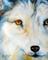 Art: MISUNDERSTOOD WILDLIFE WOLF by Artist Marcia Baldwin