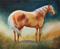 Art: PALOMINO STANDING by Artist Marcia Baldwin