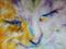 Art: PASTEL PERSIAN by Artist Marcia Baldwin