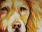 Art: GENTLE GOLDEN by Artist Marcia Baldwin