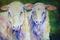 Art: Commissioned BAA BAA X2 by Artist Marcia Baldwin
