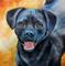 Art: MIKEY by Artist Marcia Baldwin