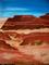 Art: PAINTED DESERT LOCAL by Artist christi lynn schwartzkopf