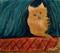 Art: I WAS NAPPING by Artist christi lynn schwartzkopf
