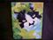 Art: Zorro in the Springtime by Artist Rosemary Margaret Daunis