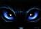 Art: Piercing Eyes by Artist Elaina Wagner