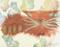 Art: Orange Cranky Cat    by Artist Cynthia Schmidt