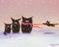 Art: Snow Cats by Artist Cynthia Schmidt