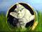 Art: Basket Kitty by Artist Dia Spriggs