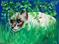 Art: Mighty Siamese Hunter by Artist Dia Spriggs