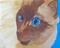 Art: Siamese Cat Face by Artist Dia Spriggs