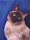 Art: Siamese Sealpoint by Artist Dia Spriggs