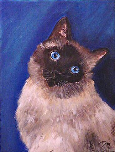 Art: Siamese Sealpoint by Artist Dia Spriggs