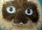 Art: Himalayan Cat Portrait by Artist Dia Spriggs
