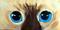 Art: Siamese Kitten Eyes by Artist Dia Spriggs