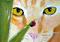 Art: Kitty Bug by Artist Dia Spriggs