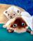 Art: Siamese Mom and Baby by Artist Dia Spriggs