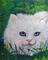 Art: White Cat by Artist Dia Spriggs