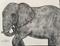 Art: Elephant by Artist Ulrike 'Ricky' Martin