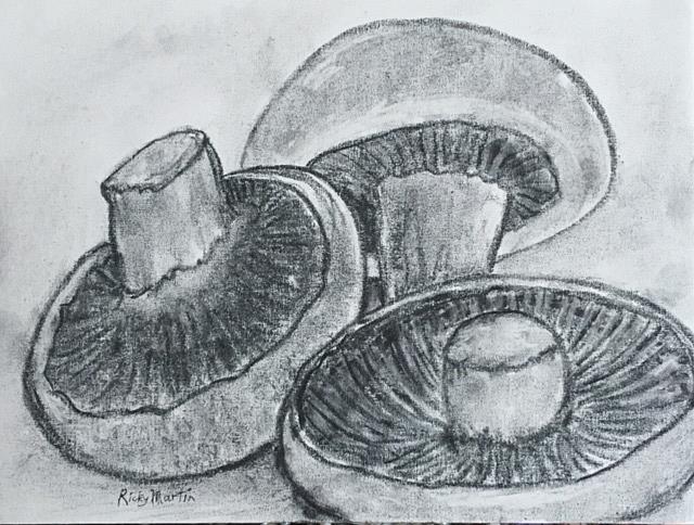 Art: Mushrooms by Artist Ulrike 'Ricky' Martin