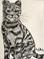 Art: Charcoal Sketch - Kitty by Artist Ulrike 'Ricky' Martin