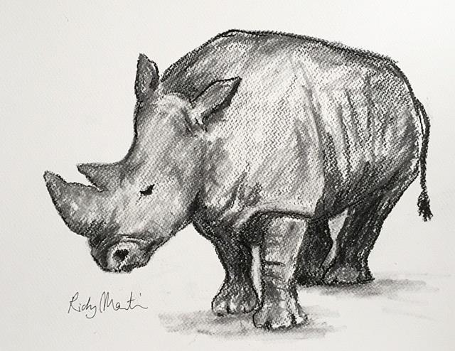 Art: Rhino Charcoal Sketch by Artist Ulrike 'Ricky' Martin