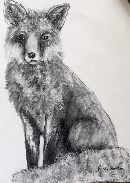 fox sketch  Fox sketch Animal drawings Animal art