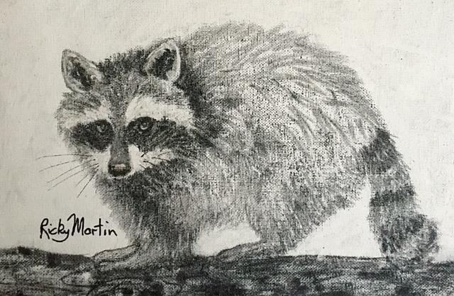 Art: raccoon by Artist Ulrike 'Ricky' Martin