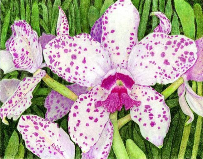 Art: Cattleya Orchid by Artist Ulrike 'Ricky' Martin