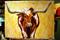 Art: Matt's Bevo by Artist Laurie Justus Pace