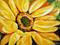 Art: Nevada Sunflower by Artist Laurie Justus Pace