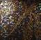 Art: Winged Bedlam II by Artist Rebecca M Ronesi-Gutierrez