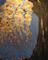 Art: Spear's Coined Willow by Artist Rebecca M Ronesi-Gutierrez