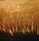 Art: Golden Skies III by Artist Rebecca M Ronesi-Gutierrez