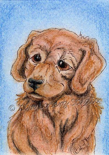 Art: Golden Retriever Puppy - SOLD by Artist Kim Loberg
